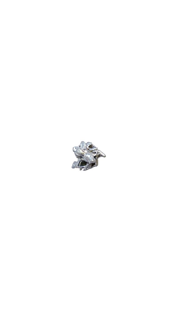 Twenty-four Regenerated Earring